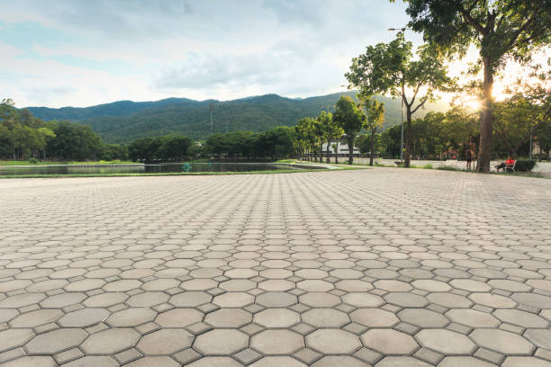 Best Residential Driveway Paver Services  in Faison, NC