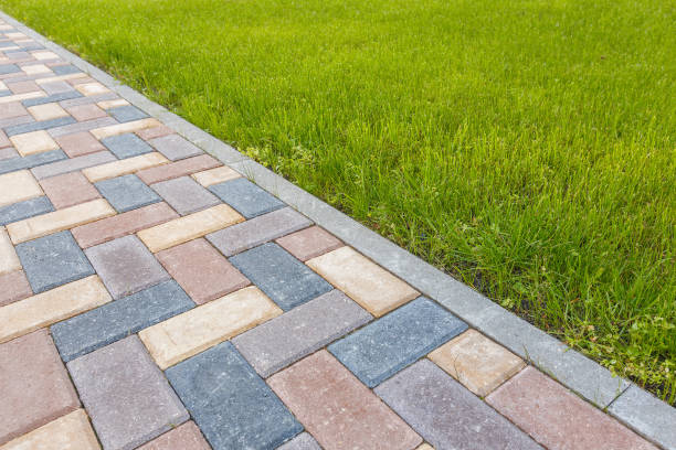 Best Driveway Paving Contractor  in Faison, NC